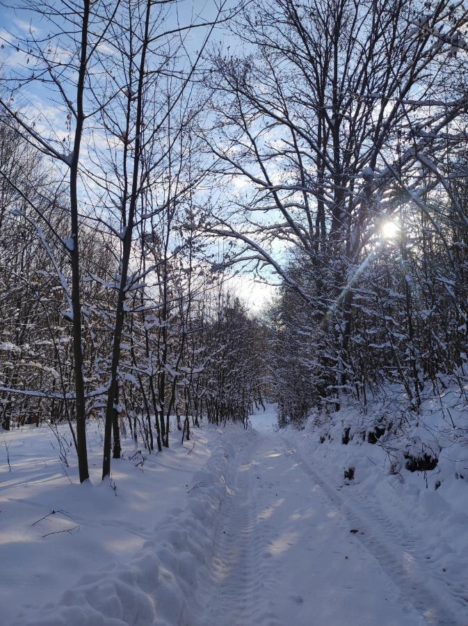Villa Miedzy Drzewami Biecz Esterno foto