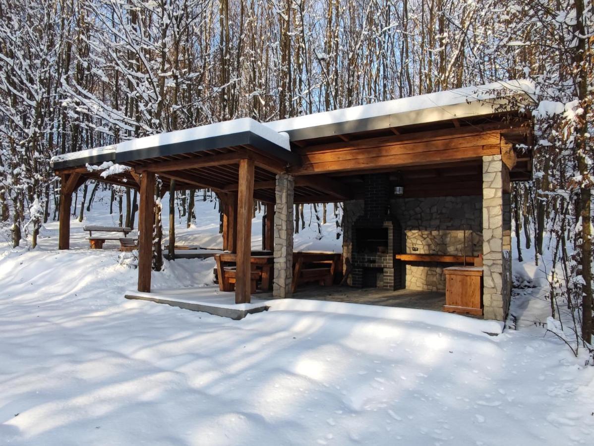Villa Miedzy Drzewami Biecz Esterno foto
